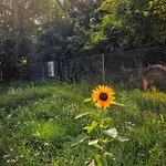Holiday home W Ogrodzie - Riverfront *