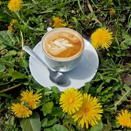 Tatil Evi Domy W Ogrodzie - Riverfront Cabins Poznan