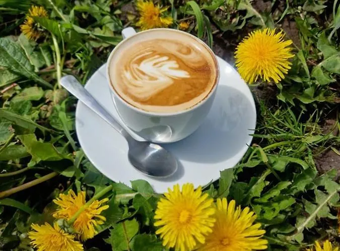 Ferienhaus W Ogrodzie - Riverfront Posen