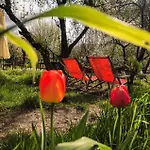 W Ogrodzie - Riverfront