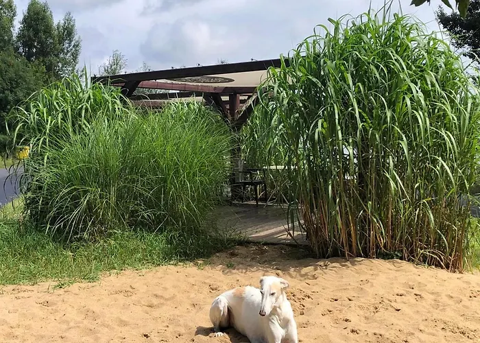 W Ogrodzie - Riverfront * Poznan