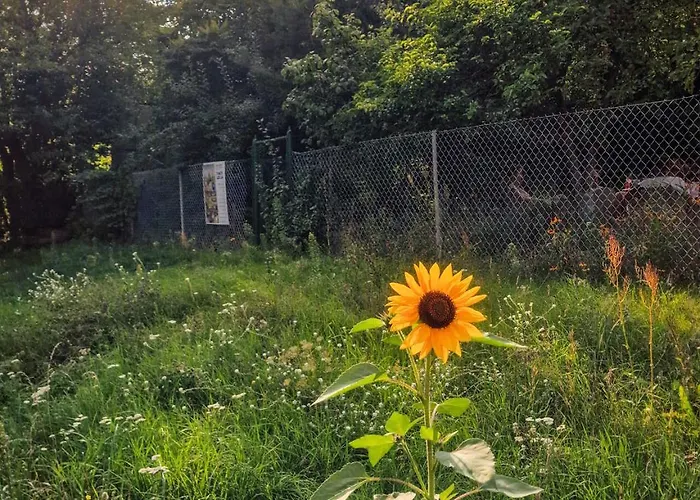 Сasa de vacaciones W Ogrodzie - Riverfront *